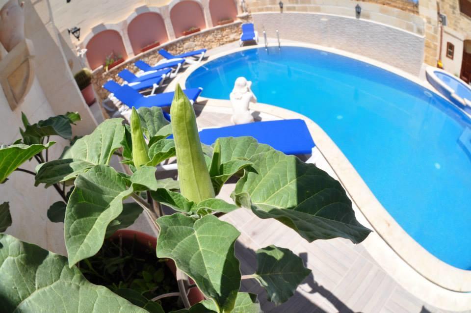 Mikiel U Rosa Holiday Farmhouse With Large Private Pool Zebbug  Kültér fotó